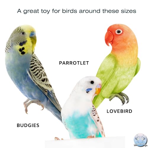 5305 Small Vine Twists Pk6 - Natural Bird Foraging Toys - size: Pack 6