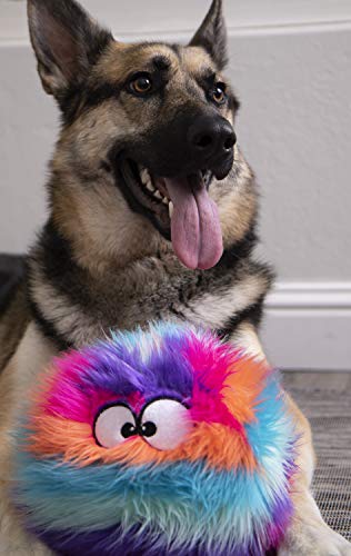 goDog Furballz Squeaky Plush Ball Dog Toy, Chew Guard Technology - Cool Rainbow, Large - color: Furballz (Cool Rainbow)