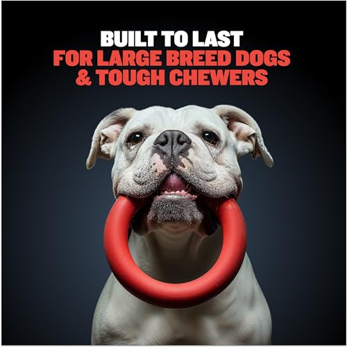 Bully Max Chew Ring Toy Long Lasting Dog Chew Toy for Power Chewers, Big Dogs, & Pit Bulls. Improves Mental Health, Keeps Dogs Busy for Hours. - color: Red (Adult/Large)
