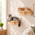Cat Wall Shelves, 2-Piece Cat Wall Step for Large Cats - size: 2 pcs
