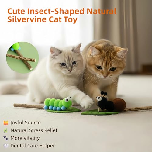 Catnip Toys for Cats, 5 Pack Interactive Cat Toys Set - color: 5Pack-Mouse-1