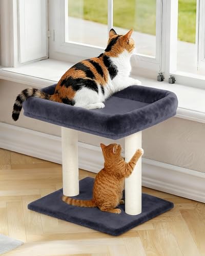 19" Small Cat Tree with Scratching Post for Indoor Cats with Perch - color: Dark Gray