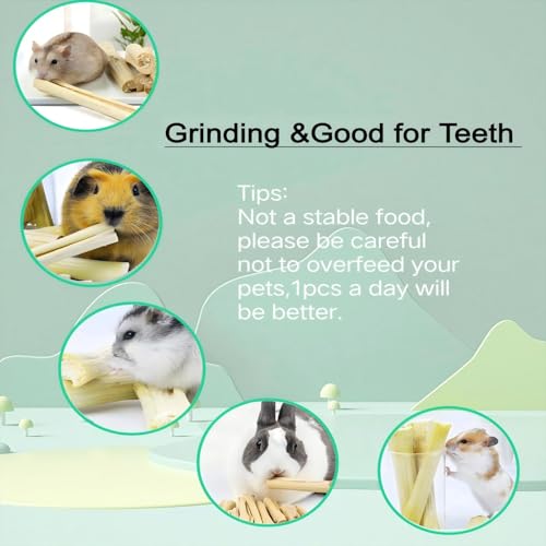 700g Sweet Bamboo Sticks for Rabbits,Chew Toy for Bunny Chinchilla