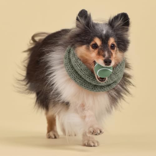 Playology Squeaky Chew Ball Dog Toy - Small, Squash Scent, 3-Pack - size: Small (VALUE 3-Pack), style: Butternut Squash & Sage
