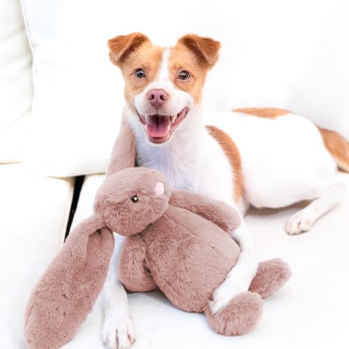Best Pet Supplies Bunny Buddy Squeaky Plush Dog Toy - Mauve, Medium - color: Bunny (Mauve), size: Medium