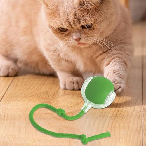 Interactive Cat Ball Toy with Rope, Self-Rolling Motion Ball for Indoor Cats