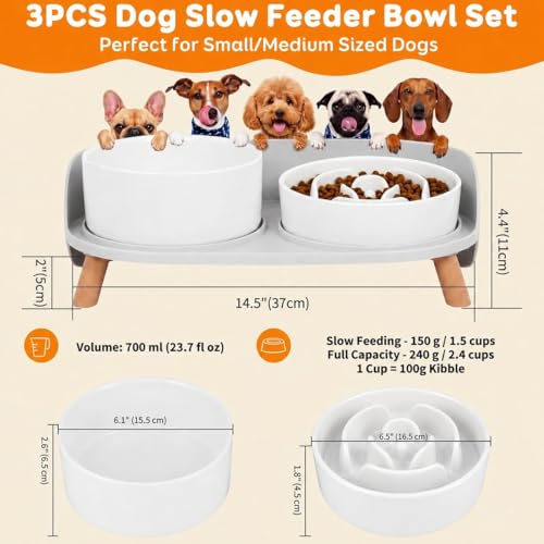 Elevated Slow Feeder Dog Bowls with Splash Proof Stand, Slow Eating 5X - color: White