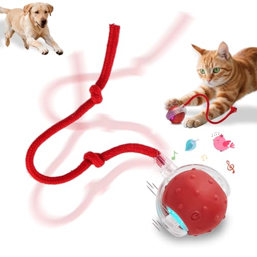 Interactive Cat Toys Smart Ball for Cats & Dogs! Now with 2 Rapid Tails. Features: 360°Auto-Rolling, Motion Activation& Bird Sounds. Perfect for Indoor Pet Exercise & Fun. (Red) - color: Red