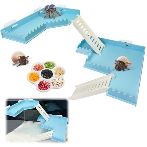 Hermit Crab Climbing Platform Habitat Tank Accessories - color: Blue