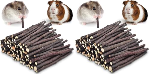 ERKOON Natural Apple Sticks 500g (1.1lb) Small Animals Molar Chew Toys Apple Branch Chew Treats for Hamster Rabbit Chinchilla Bunny Guinea Pig Squirrel (Pack of 2) - size: 1.1 Pound (Pack of 2)