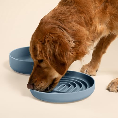 Slow Feeder Dog Bowl - Silicone Dog Bowl, Large, 9.5" x 1.5" - Ocean - color: Ocean - Rainbow Design, size: Large (9.5” Across and 1.5” Tall)