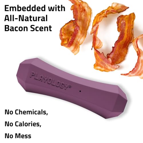 Playology Squeaky Chew Stick - Scented Dog Toy - Medium, Bacon Scent - size: Medium, style: Bacon
