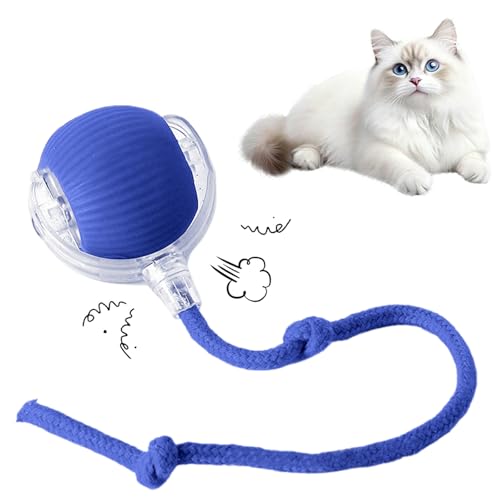 Cat Toy, 360° Automatic Rolling Smart Pet Ball Toys, Motion-Activated, Rechargeable, Four Modes, Three Speed Adjustment, Solve Your Cat's Boredom in Seconds (Blue) - color: Blue