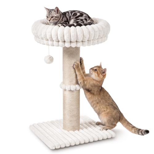Avont Modern Cloud Cat Scratching Post with Perch for Indoor Adult Cats - color: Cream
