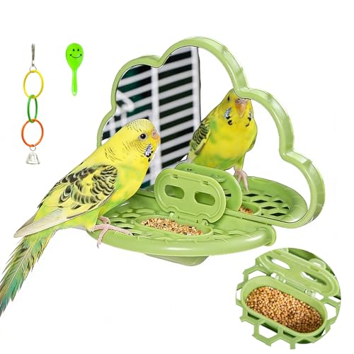 Bird Mirror with Perch Stand & Slow Feeder,Parrot Toys Swing(Green) - color: Green Cloud