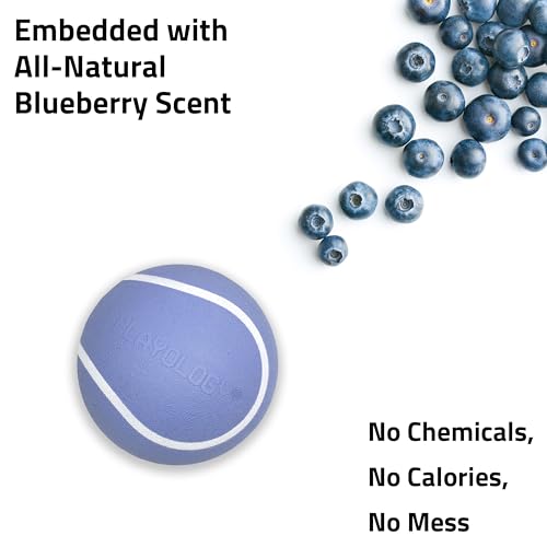 Playology Squeaky Chew Ball Dog Toy - Small, Blueberry Scent, 3-Pack - size: Small (VALUE 3-Pack), style: Blueberry