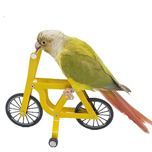 QBLEEV Bird Intelligence Training Toy - Parrot Puzzle Bicycle for Birds - color: Big Bicycle Toy