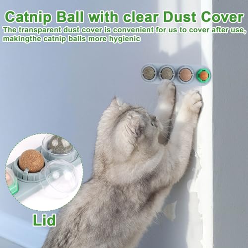 CCINEE Catnip Balls for Cats Wall Catnip Toys Edible Cat Toys for Cat Lick Safe Healthy Kitten Chew Toys Teeth Cleaning Dental Cat Toys(4 Flavor) - color: 4PCS