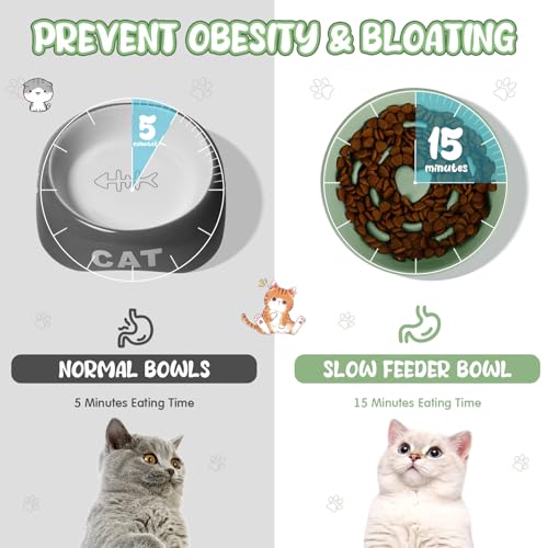 Tioncy 1 Pcs Ceramic Elevated Slow Feeder Cat Bowl, Sage Green - color: Sage Green