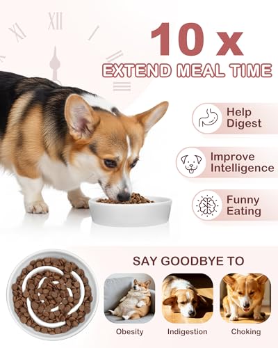 TRUVIC Ceramic Slow Feeder Dog Bowls, 1.5 Cup Puzzle Slow Feeder Bowls for Fast Eaters, Ceramic Dog Food Dish no Black Chin, Puzzle Bowl for Medium Dogs, White - color: 01-White, size: M-1.5 Cups