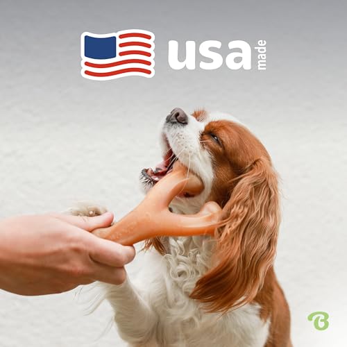 Benebone Wishbone Dog Chew Toy for Aggressive Chewers, Real Chicken, Small - size: Small