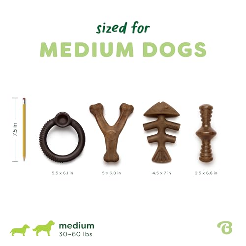 Benebone Blueberry Medium 4-Pack Dog Toys, Under 60 lbs - size: Medium, style: Limited Edition 4 Pack