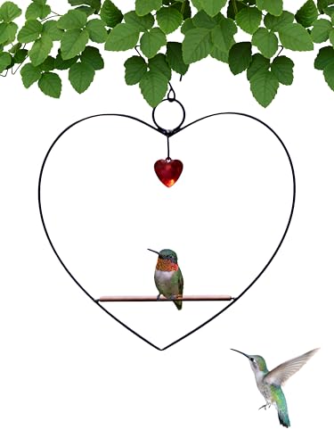 Songbird Essentials Tweet Heart Hummingbird Swing - Black - Wooden Dowel - color: Black