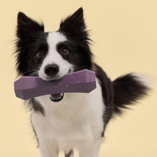 Playology Squeaky Chew Stick - Scented Dog Toy - Jumbo, Bacon Scent - size: Jumbo, style: Bacon