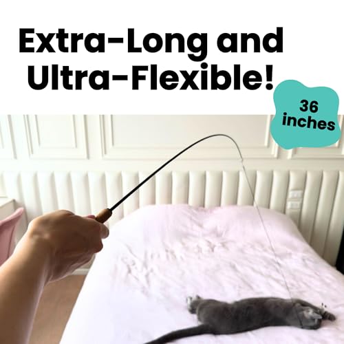 Forever Stick Cat Wand Toy, 3 Strings, Chew Proof Metal Wire - size: Forever Stick and Chew-proof String