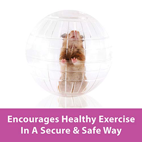 Kaytee 11.5" Clear Run-About Exercise Ball for Hamster & Gerbil Pets - color: Clear, size: 11.5"
