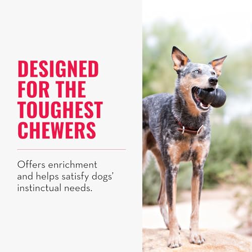 KONG Extreme Dog Toy, Durable Natural Rubber Chew, for Large Dogs - size: Large (Pack of 1)