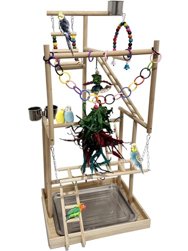 4-Tier Large Wooden Bird Playground with Trays Cups Ladder - Parrot Playstand, Birds Play Stand, Wood Perch Gym for Parrots Cockatiels - Durable Multi-Level Bird Activity Center