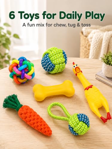 6-Piece Puppy Rope Chew Toy Set, Knotted Interactive Toys and Flying Disc for Small Medium Dogs, Tug and Fetch Play