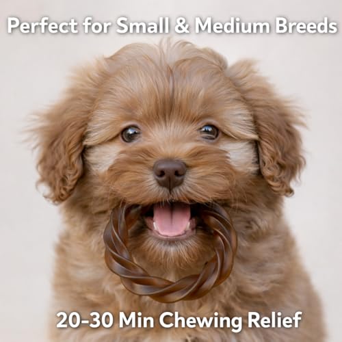 No Rawhide Puppy Teething Rings – Pumpkin (4 Rings) Grain Free Rawhide Alternative Teething Treats for Puppies - size: 4 Count (Pack of 1)