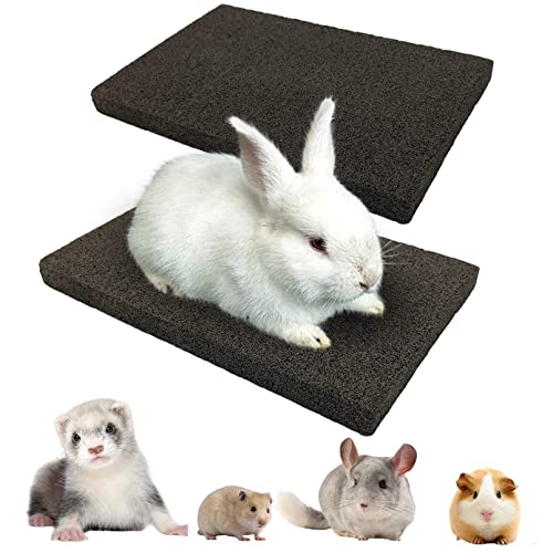 BNOSDM Rabbit Grinding Claw Pads Natural Bunny Scratch Foot Mat 2 Pack - color: Black 2x Large