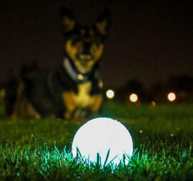 Chuckit! Max Glowin the Dark Bouncy Ball for Dogs, Large 3in, 1 Pack - size: Large