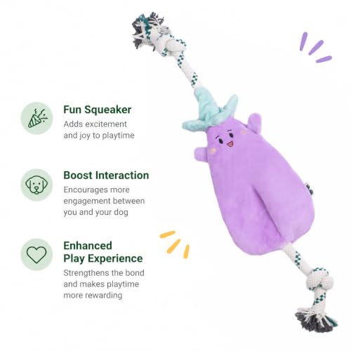 Green Sheep Interactive Plush Dog Toy, No Stuffing Squeaky Toy with Recycled Cotton Rope for Medium to Large Dogs, Chew Toy, Aubergine - color: Aubergine（L）