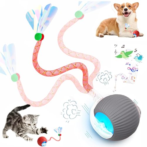 Speed 2.0 Tail Interactive Cat Toys for Indoor Cats, Moving Cat Toy - color: Grey