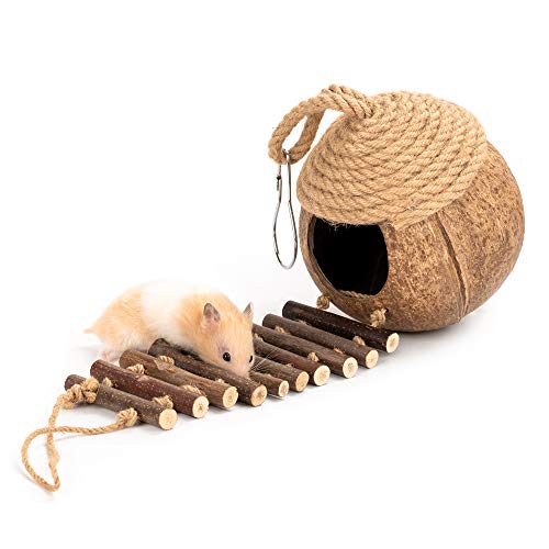andwe Coconut Bird Nest Hut with Ladder