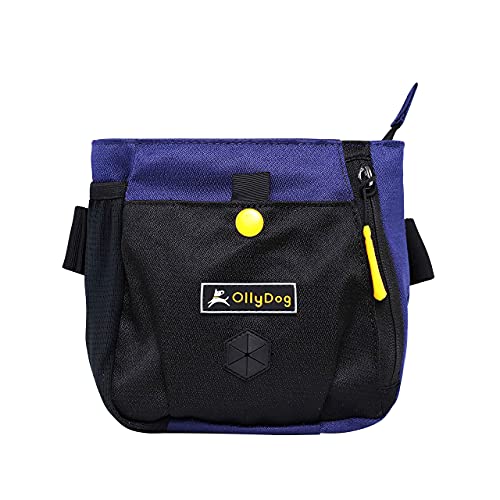 OllyDog Backcountry Day Bag, Fanny Pack, Dog Treat Pouch, Hands-Free for Training, Hip Pack with Built-in Poop Bag Dispenser, Removable Waist Belt Clip (Atlantic) - color: Atlantic