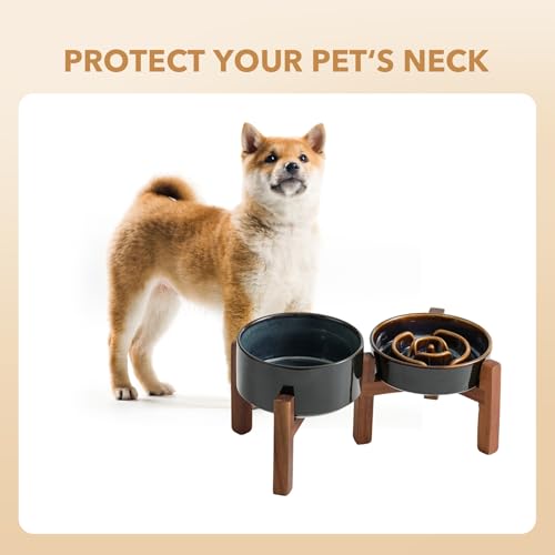 Havniva Raised Slow Feeder Dog Bowls, Elevated Dog Bowls Slow Feeder Set - color: 2 x Starry Sky + Stand - A, size: S- 6.1inch / 0.9 Cups