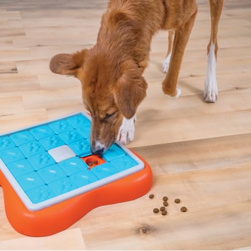 Outward Hound Nina Ottosson Challenge Slider Dog Toy Treat Puzzle, 14.7" - color: Challenge Slider (Orange, Blue), size: 1 Count (Pack of 1)