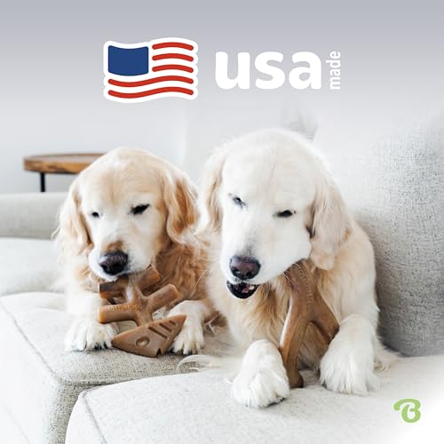 Benebone 2-pack Fishbone/Wishbone Durable Dog Chew Toys, Dog Bones, Small - size: Small, style: Fishbone/Wishbone