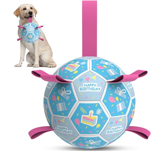 QDAN Dog Birthday Toys, Puppy Birthday Gifts, Dog Soccer Ball with Straps - color: Birthday Blue, size: Large Size 3 (8 Inch)