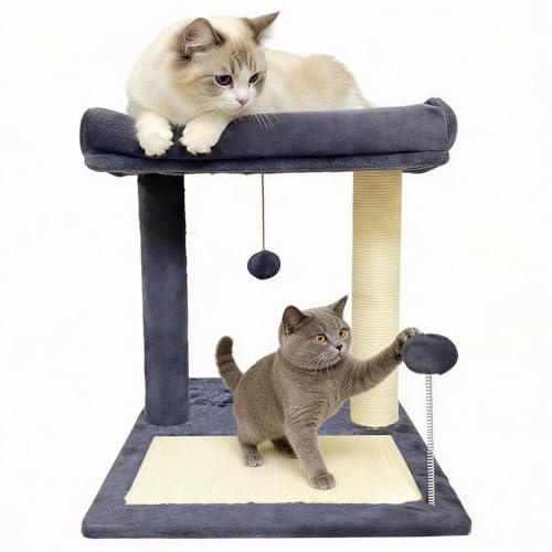 Cat Scratching Post, 19.69" H(50cm) Cat Tree with Cat Bed, Scratching Posts for Indoor Cats with Two Plush Balls Toy, Small Cat Tree for Kittens/Cats Playing and Relaxing (20 in Grey Cat Tree) - size: 20 in