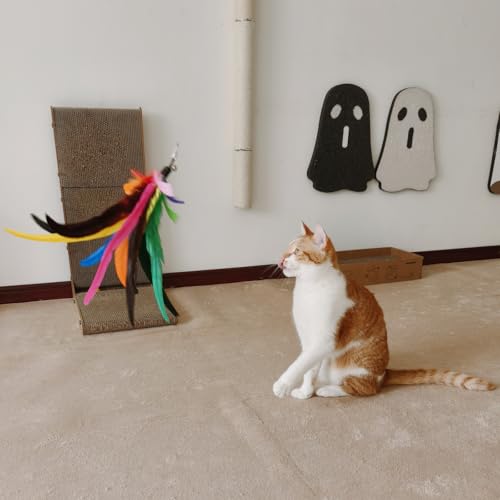 miwoowim 6PCS Cat Wand Toy Refills: 2 Extra-Large & 4 Standard Feathers - color: Cat Wand Toy Refills