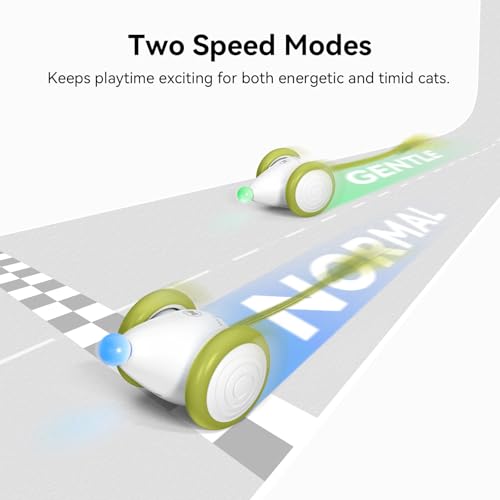 Cheerble Interactive Cat Toys for Indoor Cats, Automatic Moving Kitten Toys, Wicked Mouse Neo Cat Toy with Tail & Lights, Pet Cat Supplies, Rechargeable Cat Toys for Bored Indoor Adult Cats - color: Mouse Neo-Green