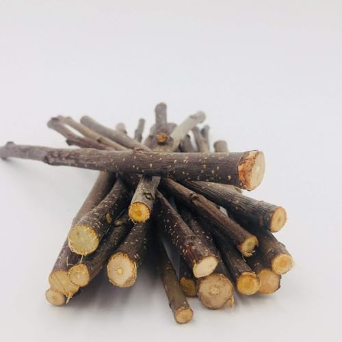 William Craft Apple Sticks Pet Chew Toy Treats for Chinchilla Guinea Pigs Rabbits Squirrel Hamster Bunny (Pack of 2) - size: 1.10 Pound (Pack of 2)