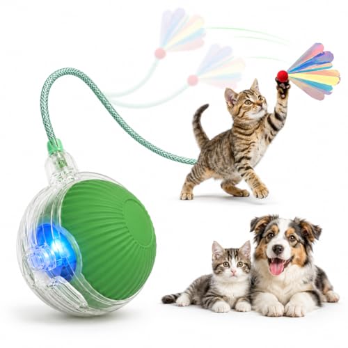 Interactive Cat Toy Ball with LED Lights – USB-C Rechargeable Automatic Cat Toy with Feather Tail for Indoor Cats & Kittens, Upgraded Version - color: Green ball