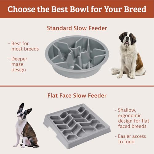 Leash Boss Slow Feeder Dog Bowls (4 Cup) Puzzle Dog Food Bowl with Feeder Holes, Fits into Elevated Pet Feeders, Slow Eating for Large, Medium & Small Sized Breeds - Blue - color: Blue, size: 4 Cup